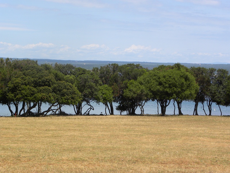 istria2009 374.jpg - Brijuni